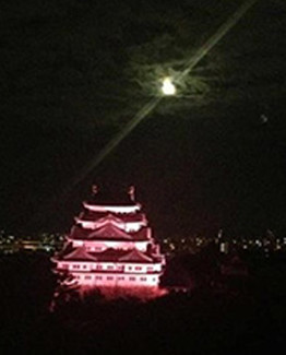 ホテルから見た名古屋城のライトアップ